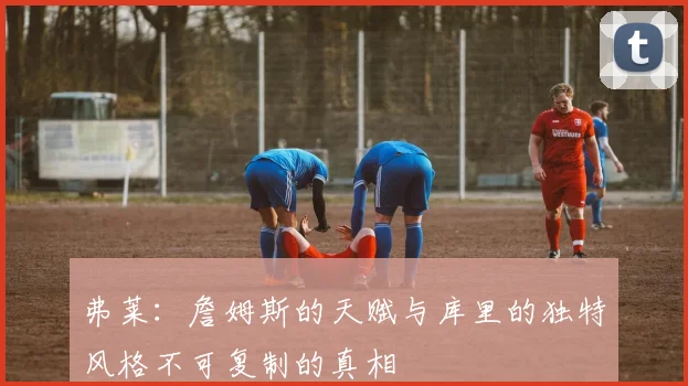 弗莱：詹姆斯的天赋与库里的独特风格不可复制的真相